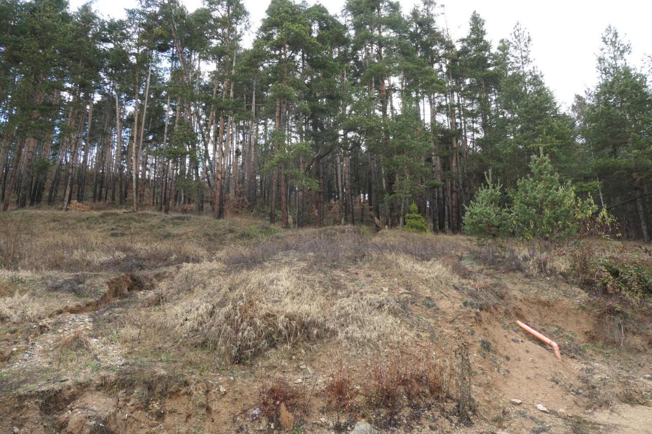 Appartamento Nikol 2 Deluxe Velingrad Esterno foto