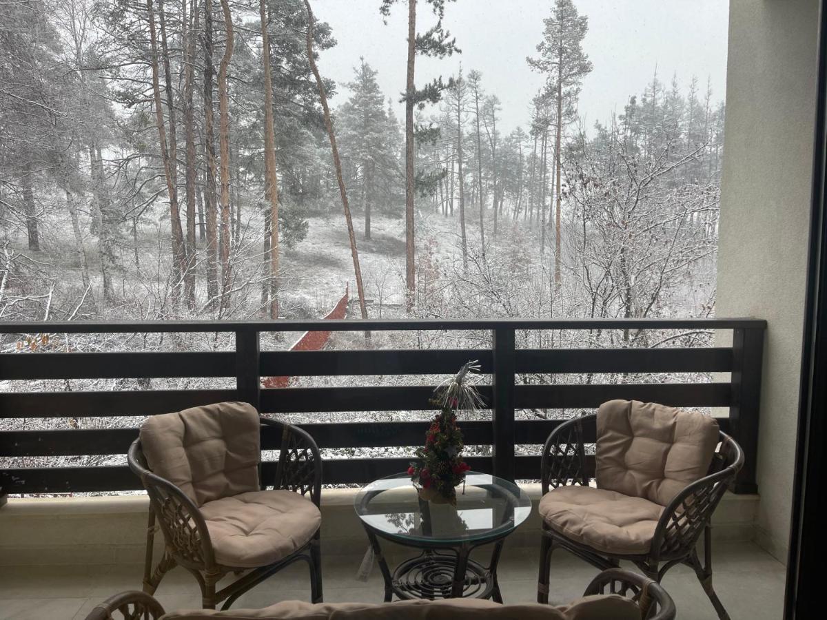 Appartamento Nikol 2 Deluxe Velingrad Esterno foto