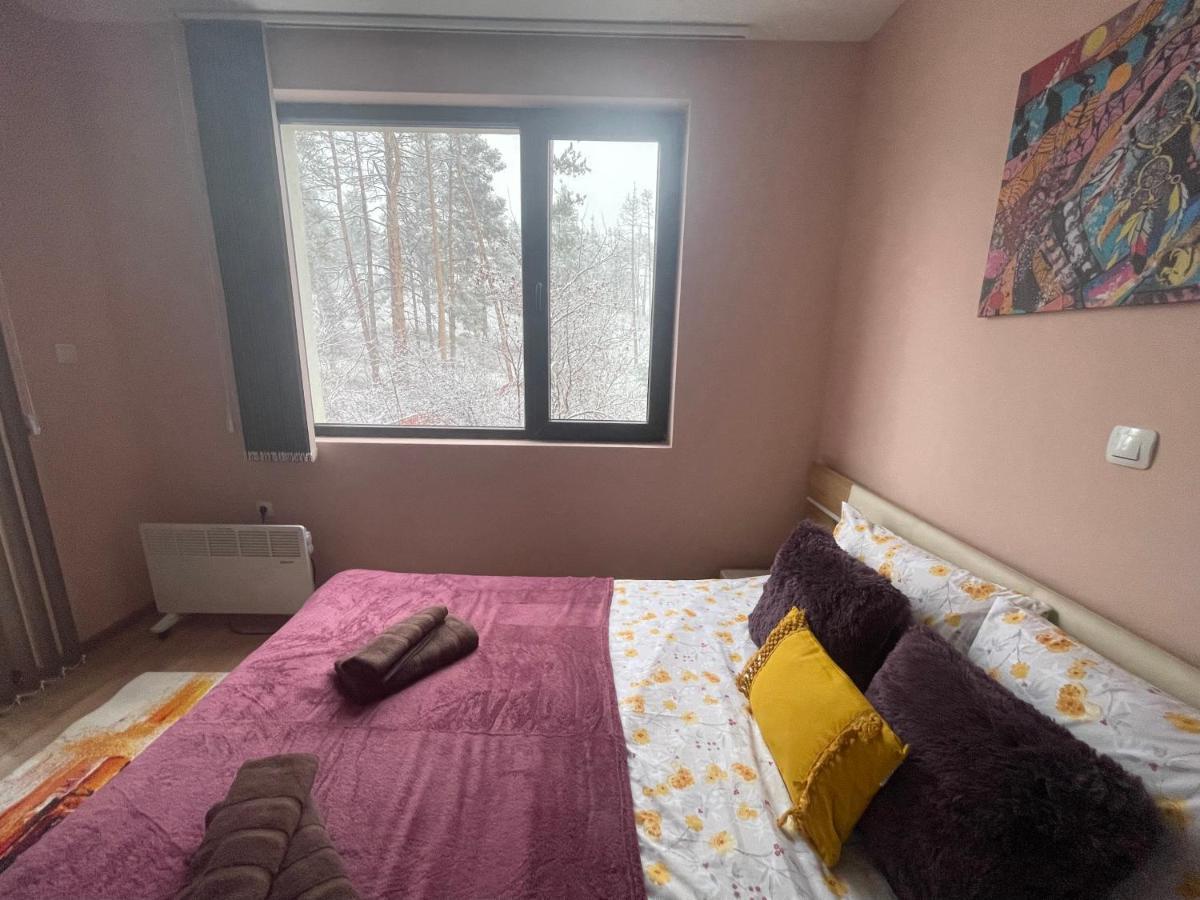 Appartamento Nikol 2 Deluxe Velingrad Esterno foto