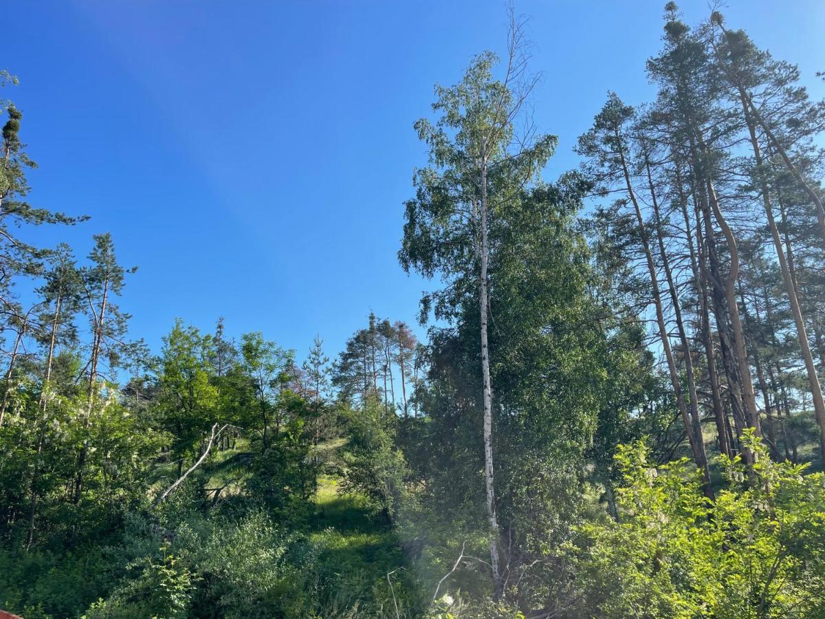 Appartamento Nikol 2 Deluxe Velingrad Esterno foto